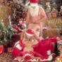 Menudo fieston se mando el guarro Papa Noel 